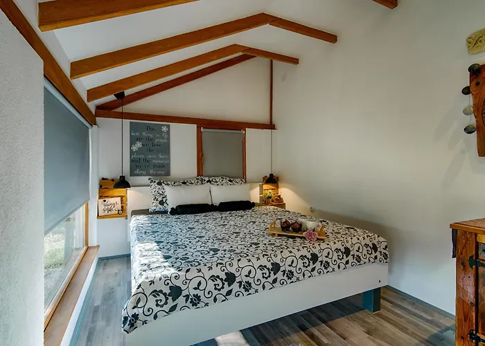 House With Pool, 50 Meters From Sea, Privacy - By Traveler Tourist Agency Krk - Id 2137 Villa Kornić