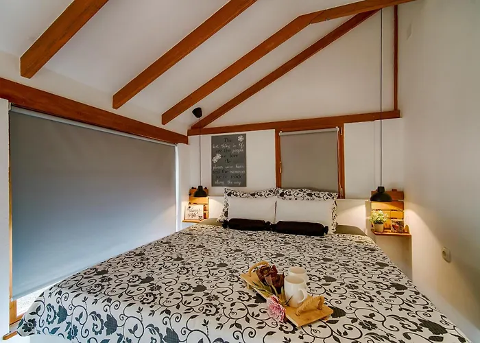 House With Pool, 50 Meters From Sea, Privacy - By Traveler Tourist Agency Krk - Id 2137 Villa