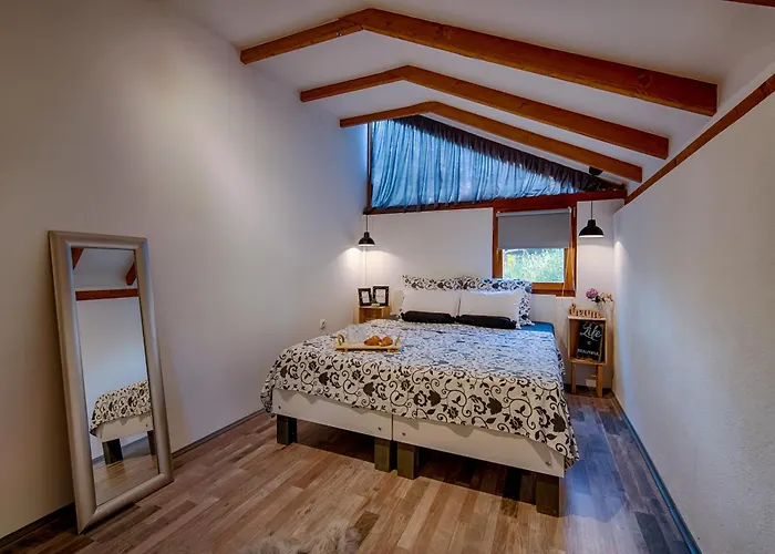 House With Pool, 50 Meters From Sea, Privacy - By Traveler Tourist Agency Krk - Id 2137 Villa *