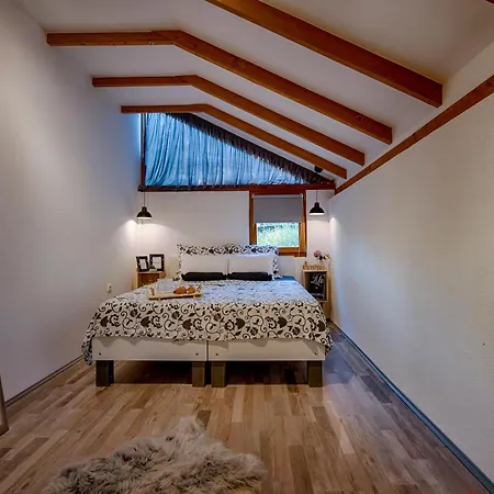 House With Pool, 50 Meters From Sea, Privacy - By Traveler Tourist Agency Krk - Id 2137 Villa *
