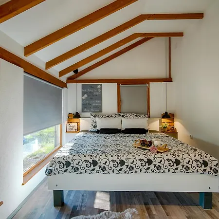 House With Pool, 50 Meters From Sea, Privacy - By Traveler Tourist Agency Krk - Id 2137 * Kornić