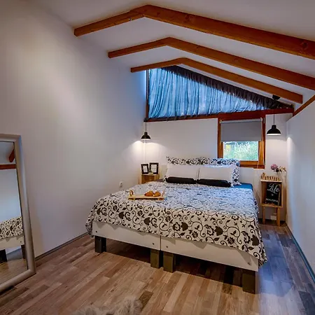 House With Pool, 50 Meters From Sea, Privacy - By Traveler Tourist Agency Krk - Id 2137 Villa *
