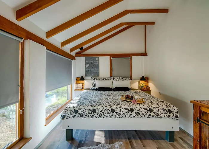 House With Pool, 50 Meters From Sea, Privacy - By Traveler Tourist Agency Krk - Id 2137 * Kornić