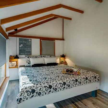 House With Pool, 50 Meters From Sea, Privacy - By Traveler Tourist Agency Krk - Id 2137 Villa Kornić